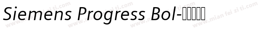 Siemens Progress Bol字体转换